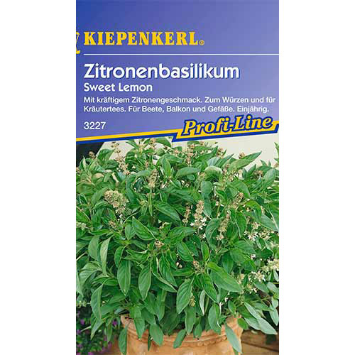Busuioc lămâios Sweet Lemon Kiepenkerl articol fotografie 1 Busuioc lămâios Sweet Lemon Kiepenkerl imagine 1 articol 86558