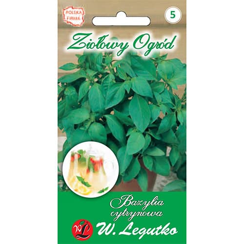 Busuioc lămâios articol fotografie 1 Busuioc lămâios imagine 1 articol 69665