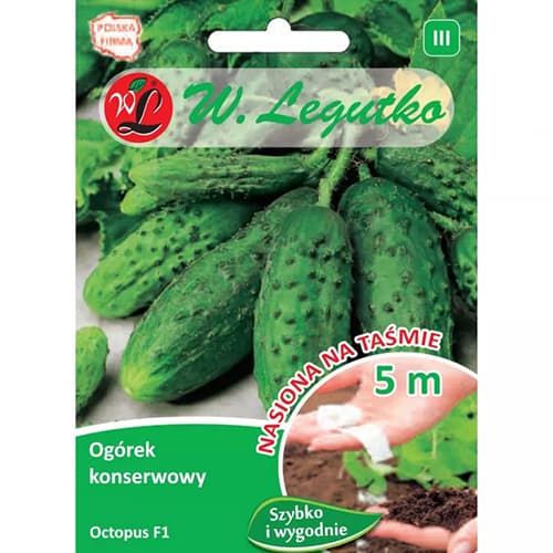 Castraveţi Octopus F1 Legutko imagine 1 articol 78489