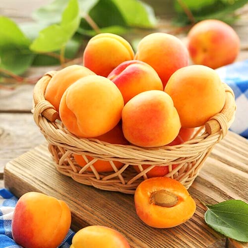 Cais Diamond, С2 imagine 1 articol 4277