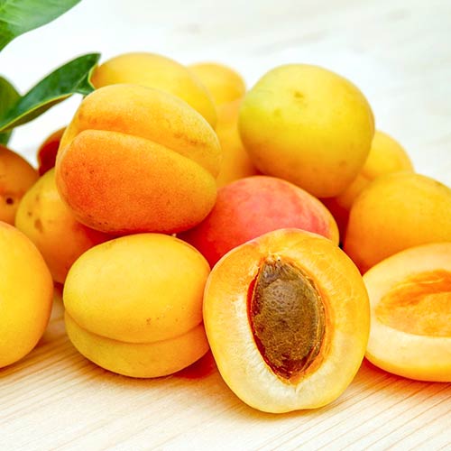 Cais Epidaurus imagine 1 articol 4275