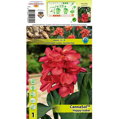 Canna Happy Isabel imagine 1 articol 76403