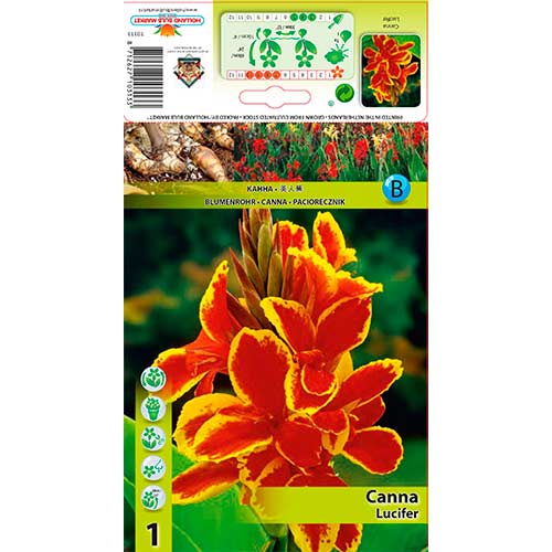 Canna Lucifer imagine 1 articol 76197