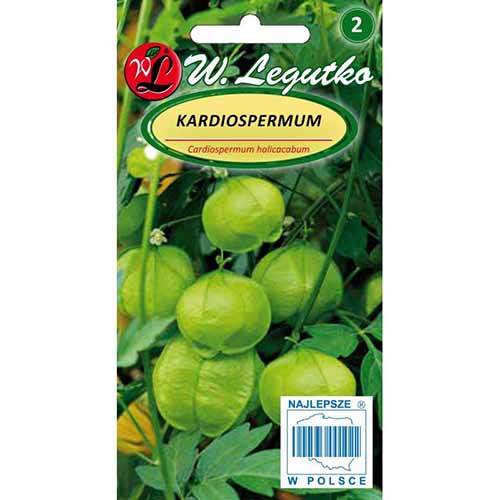 Viță cu baloane imagine 1 articol 96713