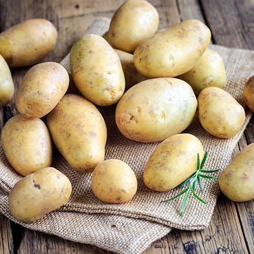 Cartofi de sămânță Marabel articol fotografie 1 Cartofi de sămânță Marabel imagine 1 articol 5683