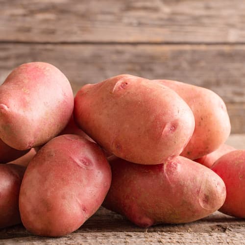 Cartofi de sămânță Sanibel articol fotografie 1 Cartofi de sămânță Sanibel imagine 1 articol 5688