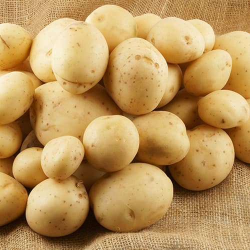 Cartofi de sămânță Sylvana imagine 1 articol 4831