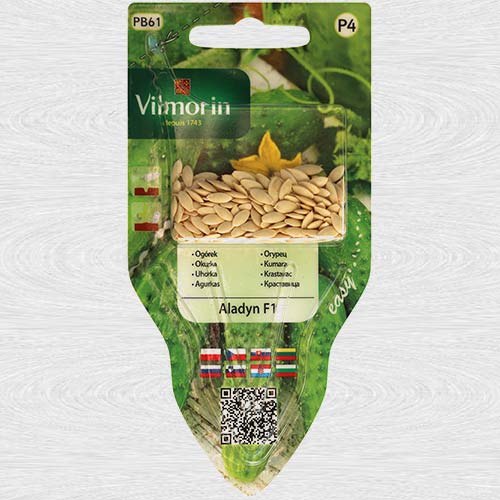 Castraveti Aladin F1 (Vilmorin) imagine 1 articol 69734