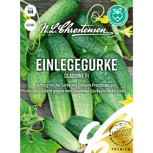 Castraveți Claudine F1 imagine 1 articol 69084