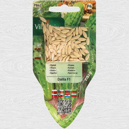 Castraveti Dalila F1 articol fotografie 1 Castraveti Dalila F1 imagine 1 articol 69735