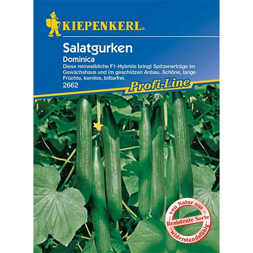 Castraveți de salată Dominica imagine 1 articol 96669