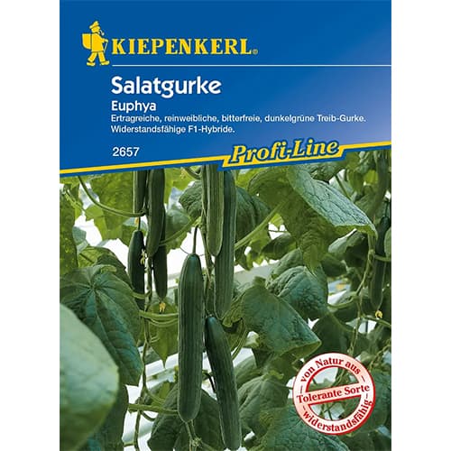 Castraveți de salată Euphya F1 articol fotografie 1 Castraveți de salată Euphya F1 imagine 1 articol 86521