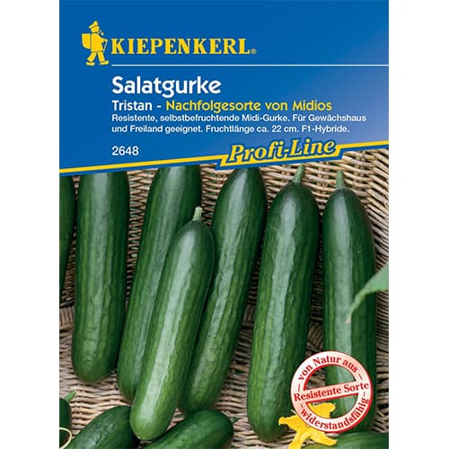 Castraveți de salată Midele Kiepenkerl imagine 1 articol 50023