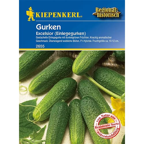 Castraveți Excelsior F1 articol fotografie 1 Castraveți Excelsior F1 imagine 1 articol 86445