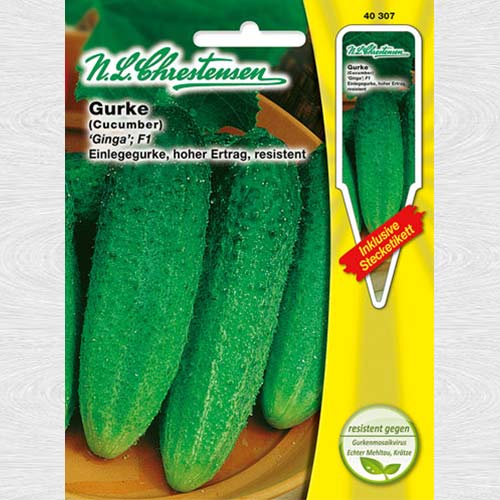 Castraveți Ginga F1 articol fotografie 1 Castraveți Ginga F1 imagine 1 articol 69086