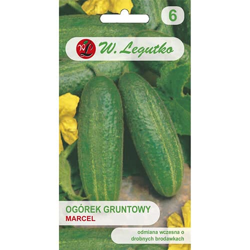 Castraveți Marcel F1 imagine 1 articol 86877