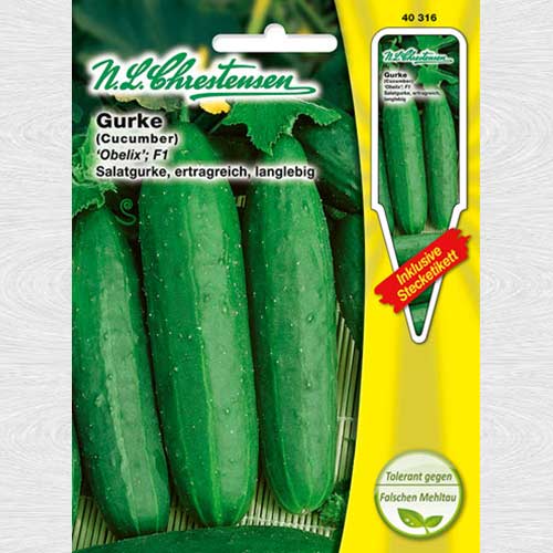 Castraveți Obelix F1 imagine 1 articol 69088