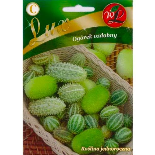 Castraveți ornamentali, Mix Legutko imagine 1 articol 50114