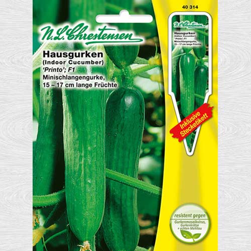 Castraveți Printo F1 articol fotografie 1 Castraveți Printo F1 imagine 1 articol 69093