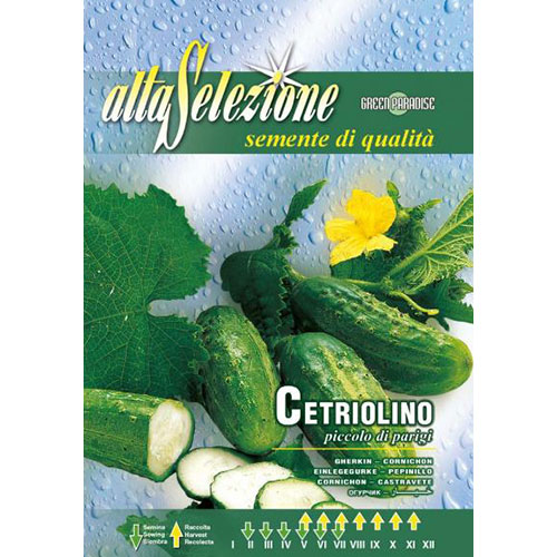 Castraveți Piccolo di Parigi articol fotografie 1 Castraveți Piccolo di Parigi imagine 1 articol 87145