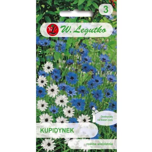 Catananche albastru Legutko articol fotografie 1 Catananche albastru Legutko imagine 1 articol 50108