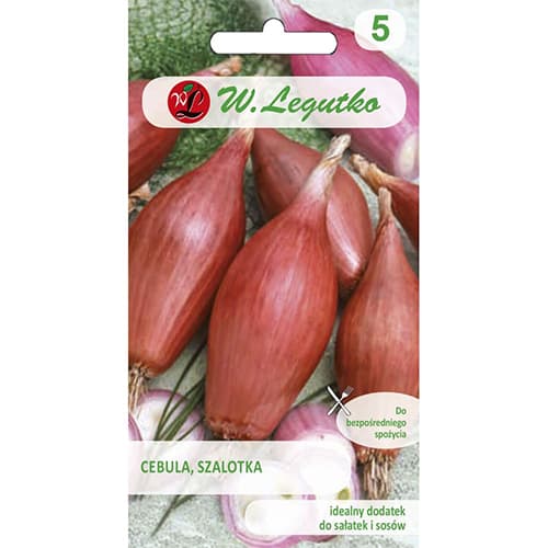 Ceapă Zebrune imagine 1 articol 96816