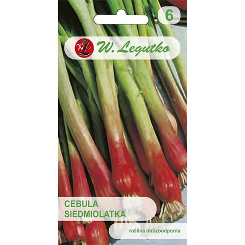 Ceapă verde Red Toga imagine 1 articol 78452