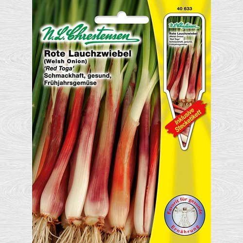 Ceapă roșie Red Toga articol fotografie 1 Ceapă roșie Red Toga imagine 1 articol 69169