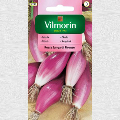 Ceapa rosie Rossa lunga di Firenze articol fotografie 1 Ceapa rosie Rossa lunga di Firenze imagine 1 articol 69729