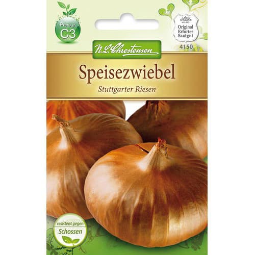 Ceapă Stuttgarter Riesen imagine 1 articol 78758