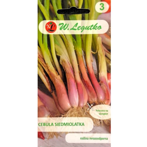 Ceapă verde Winter Nest imagine 1 articol 78451