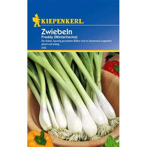 Ceapă verde Winterhecke imagine 1 articol 77460