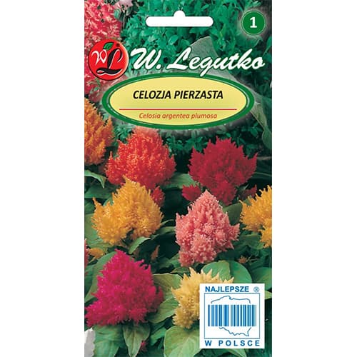Celosia (Creasta Cocoșului), mix multicolor imagine 1 articol 69269