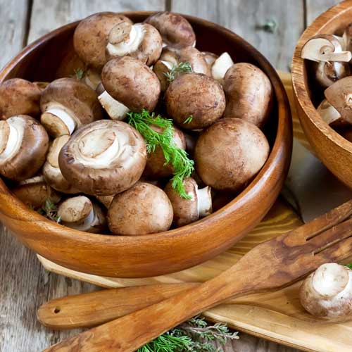 Champignon Portobello articol fotografie 2 Champignon Portobello imagine 2 articol 9754