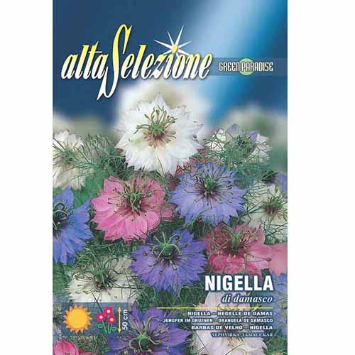 Chica voinicului articol fotografie 1 Chica voinicului imagine 1 articol 96330