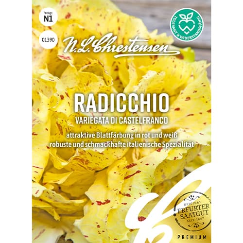 Cicoare albă (radicchio) Variegata di Castelfranco articol fotografie 1 Cicoare albă (radicchio) Variegata di Castelfranco imagine 1 articol 86082