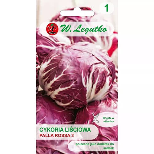 Cicoare roșie (radicchio) Palla Rossa articol fotografie 1 Cicoare roșie (radicchio) Palla Rossa imagine 1 articol 69458