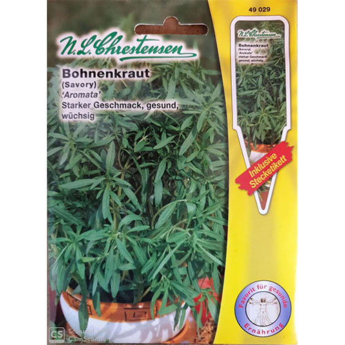 Cimbru Aromata articol fotografie 1 Cimbru Aromata imagine 1 articol 69041