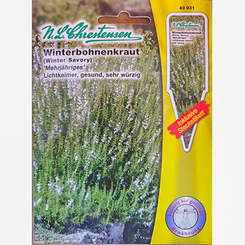 Cimbru de iarnă articol fotografie 1 Cimbru de iarnă imagine 1 articol 69215