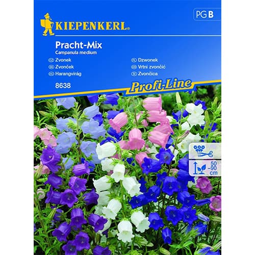 Clopoțel (Campanula) Splendid, mix multicolor imagine 1 articol 96522