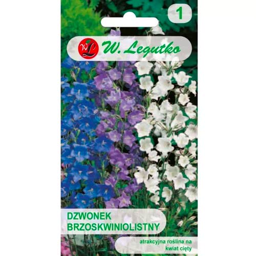 Clopoțel frunză de piersic Legutko articol fotografie 1 Clopoțel frunză de piersic Legutko imagine 1 articol 50094
