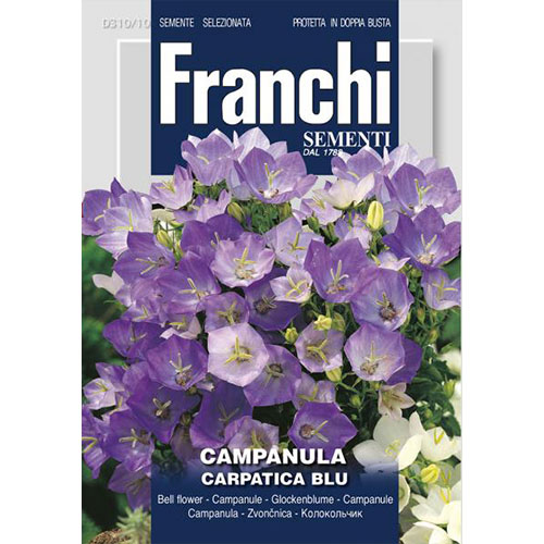 Clopoțel (Campanula) Carpatica Blue articol fotografie 1 Clopoțel (Campanula) Carpatica Blue imagine 1 articol 87306