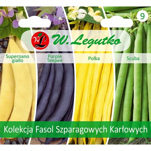 Colecție de fasole pitică, pachet cu 4 soiuri articol fotografie 1 Colecție de fasole pitică, pachet cu 4 soiuri imagine 1 articol 96838