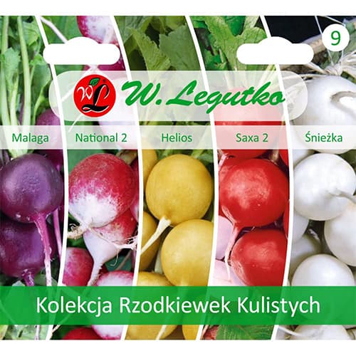Colecție de ridichi multicolore, pachet cu 5 soiuri articol fotografie 1 Colecție de ridichi multicolore, pachet cu 5 soiuri imagine 1 articol 96791