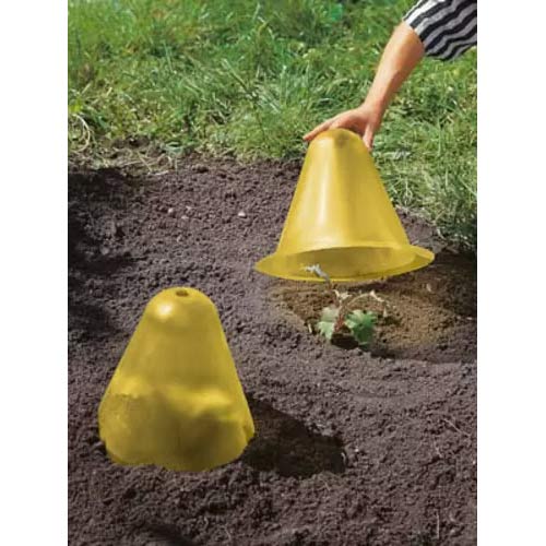 Con de protejare a culturilor imagine 1 articol 96979