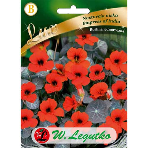 Condurul doamnei Empress of India articol fotografie 1 Condurul doamnei Empress of India imagine 1 articol 86750