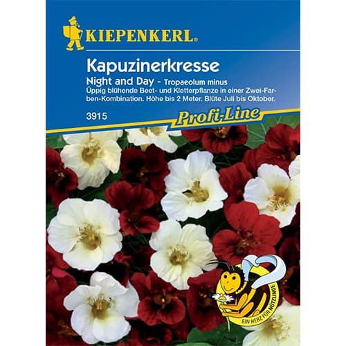 Condurul doamnei Night & Day articol fotografie 1 Condurul doamnei Night & Day imagine 1 articol 86275