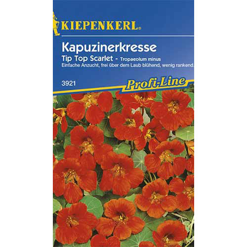 Condurul doamnei Tip Top Scarlet Kiepenkerl articol fotografie 1 Condurul doamnei Tip Top Scarlet Kiepenkerl imagine 1 articol 86277