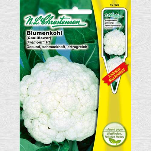 Conopidă Fremont F1 imagine 1 articol 69039