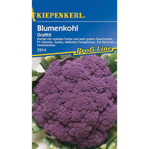 Conopidă Grafitti F1 Kiepenkerl articol fotografie 1 Conopidă Grafitti F1 Kiepenkerl imagine 1 articol 86393